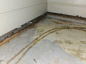 A close-up of a corner where wall meets floor, showing stained concrete and debris, indicating possible water damage or mold presence.